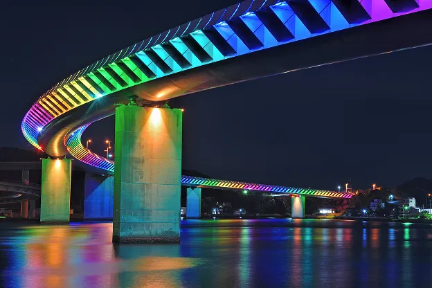 大きな岩の上に根を張り巡らせた木々が、青々とした葉を茂らせています。