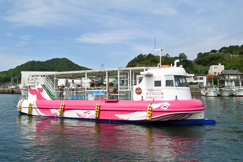 ピンク色のクジラが描かれた観光用の潜水船が、穏やかな海の上をゆっくりと進んでいます。